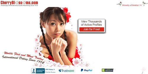 Asian Dating Site That Connects 55